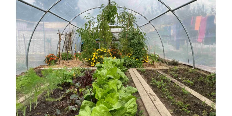 Calendrier mensuel pour cultiver des légumes sous serre