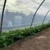 Serre Mini - largeur 3,7m - 16 à 44m²