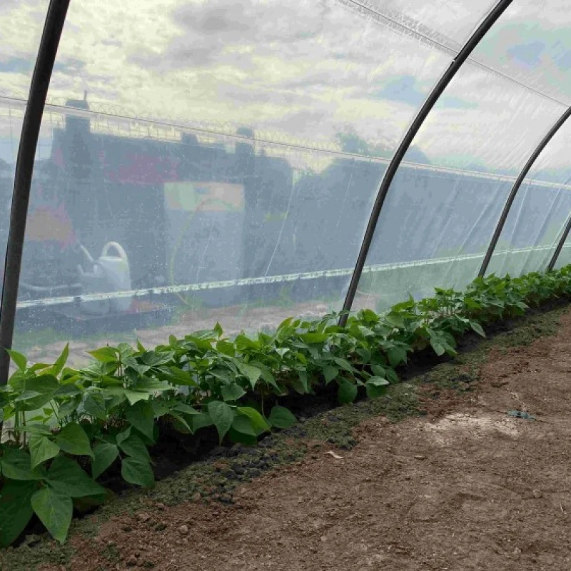 Serre Mini - largeur 3,7m - 16 à 44m²