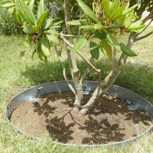 Entourage d'arbre rond en acier galvanisé - Ø 80 à 200cm