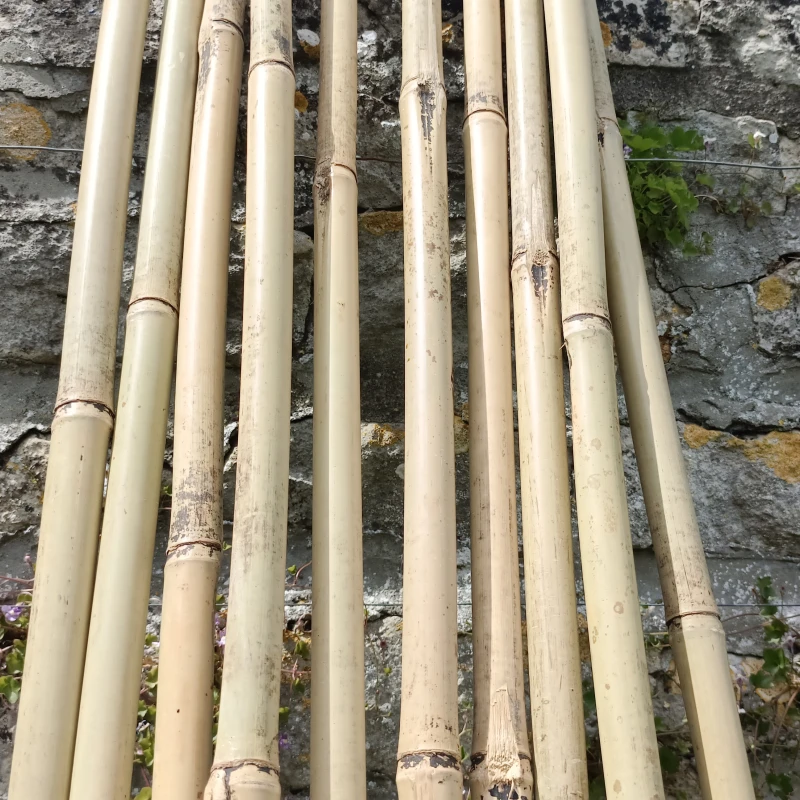Tuteurs en bambou - H: 90cm à 3m - 10 pièces