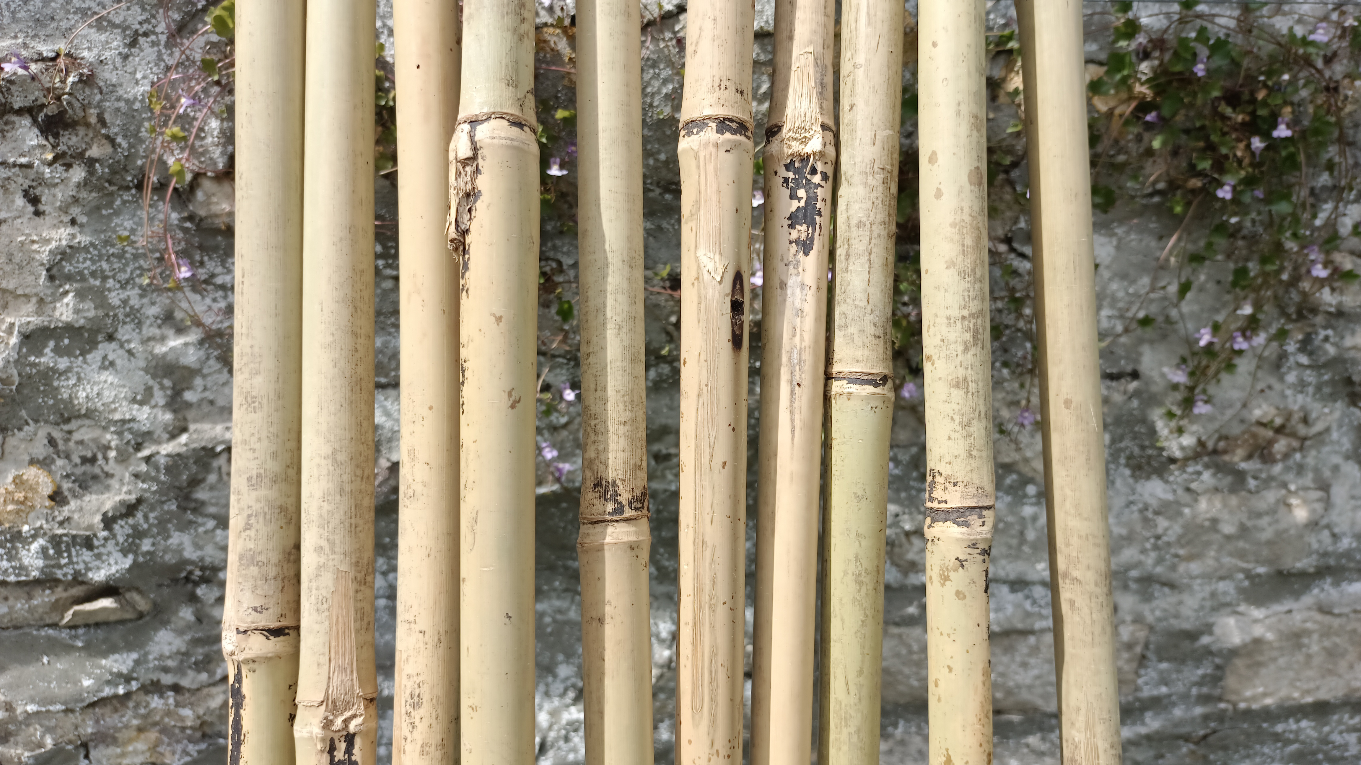 Tuteurs En Acier Vert 120cm - Lot De 20 - Noyau Acier/Revêtement Plastique - Résistants Intempéries
