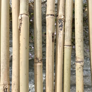 Tuteurs en bambou - H: 90cm à 3m - 10 pièces
