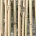 Tuteurs en bambou - H: 90cm à 3m - 10 pièces