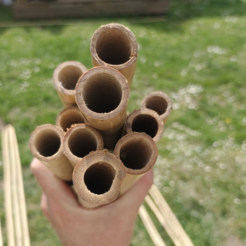 Tuteurs en bambou - H: 90cm à 3m - 10 pièces