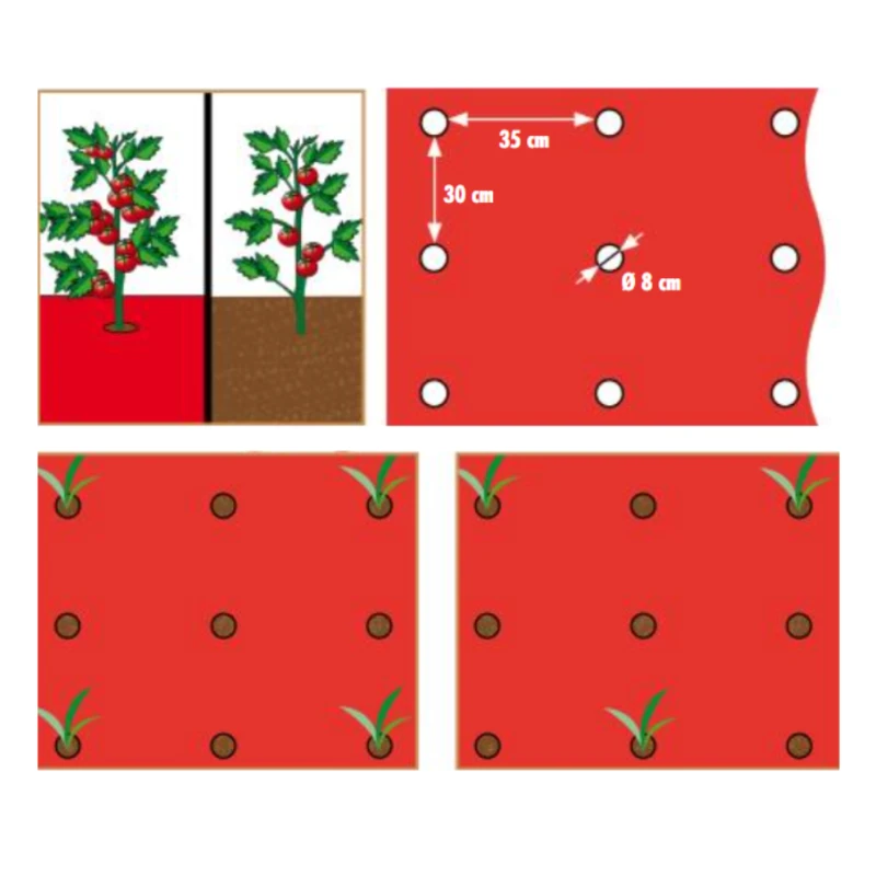 Film de paillage pour Tomates 25µ - l. 0,95m - L. 10m