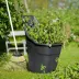 Chariot de jardin multi-usages - 65 litres