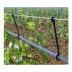 Crochets de suspension spécial vigne 15cm - Lot de 100