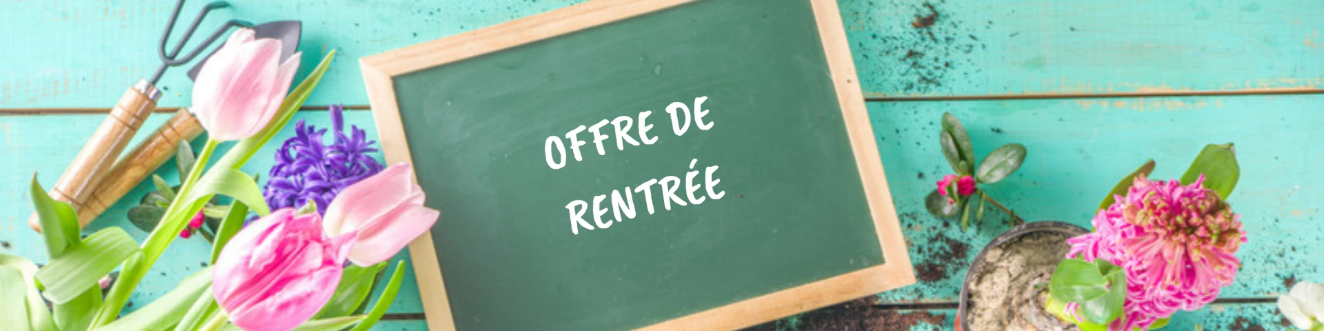 Slider offre rentree