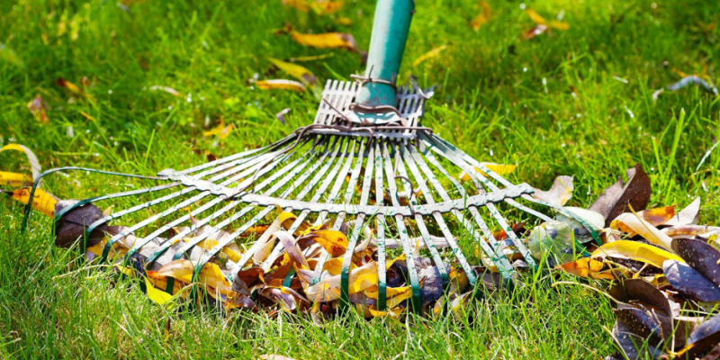 Que faire au jardin en automne ?