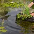 Sachets de plantation pour plantes aquatiques - Planting Bag Tube