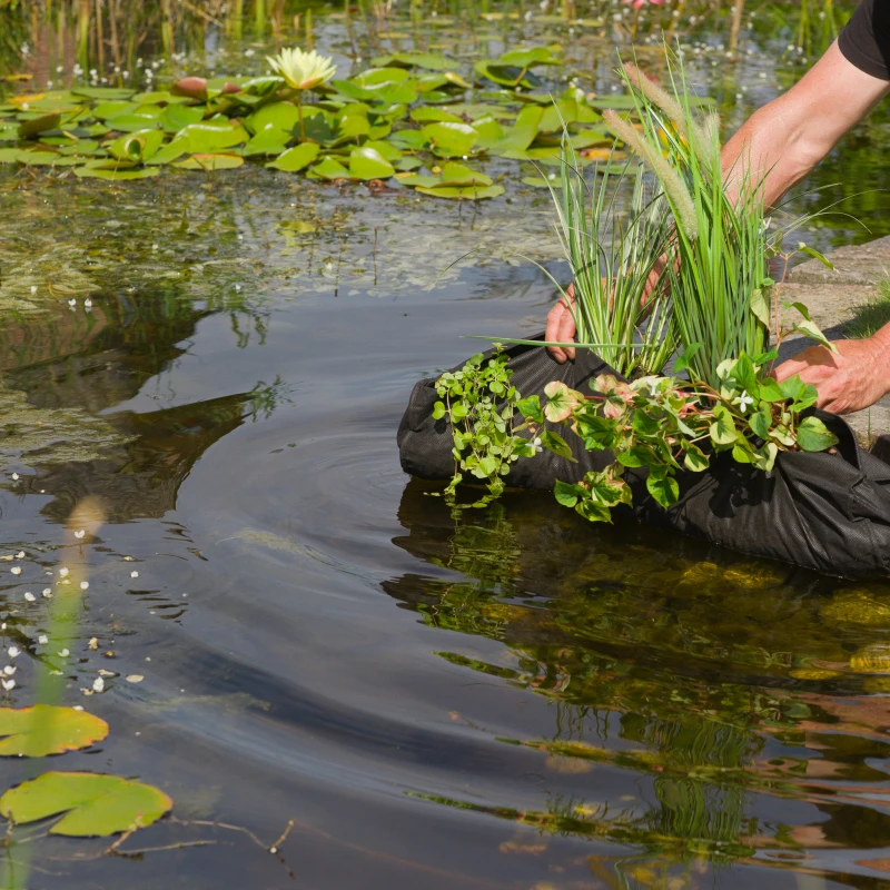 Sachets de plantation pour plantes aquatiques - Planting Bag Tube