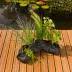 Sachets de plantation pour plantes aquatiques - Planting Bag Tube