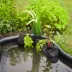 Sachets de plantation pour plantes aquatiques - Planting Bag Tube