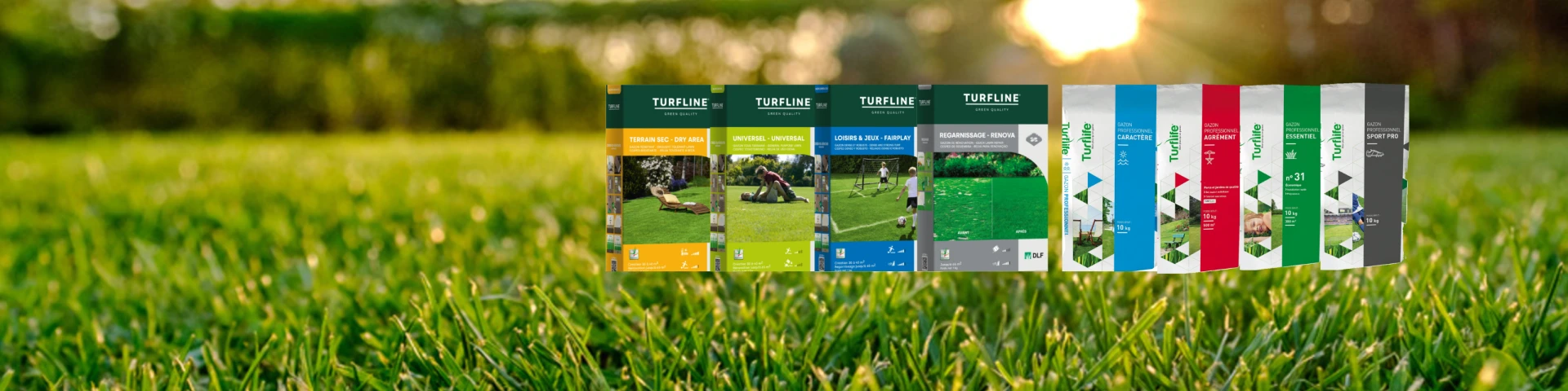 Bandeau Slider graine gazon