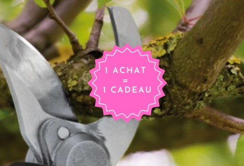 Bandeau Slider offre sécateur Ribimex R-BAT20