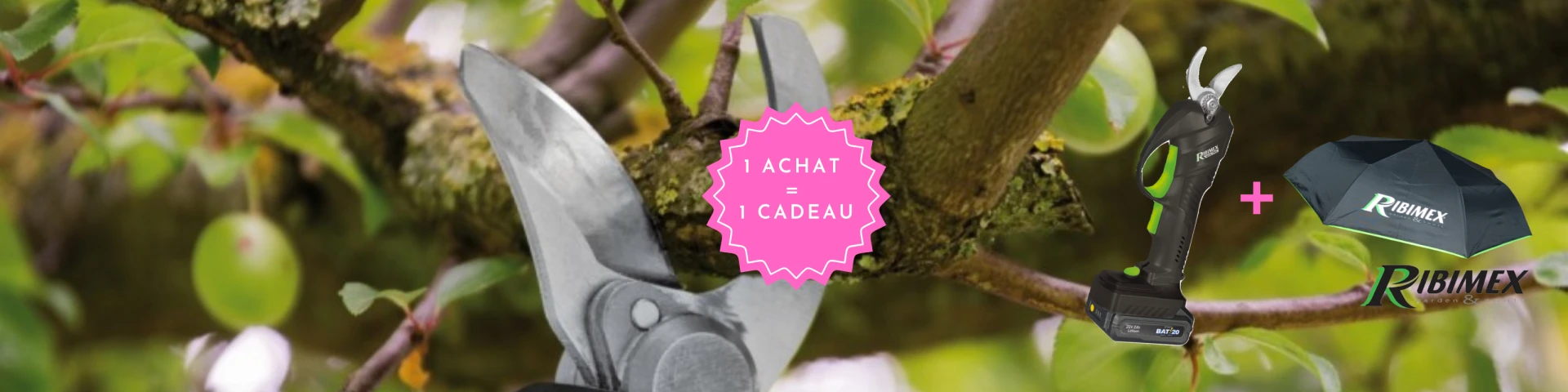 Bandeau Slider offre sécateur Ribimex R-BAT20