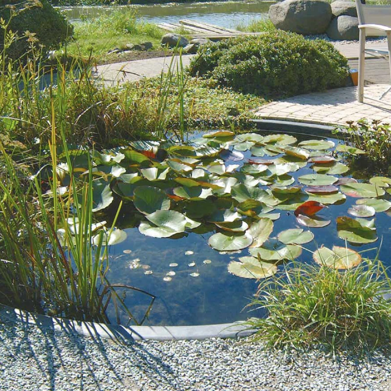 Equilibre le phosphate de l'eau pour bassin - Aqua Phos Absorber