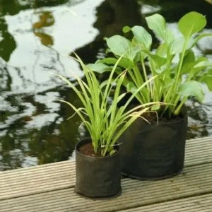 Sachets de plantation pour plantes aquatiques - Planting Bag Rond