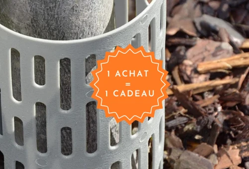 Slider bandeau offre NDS proection tronc arbre