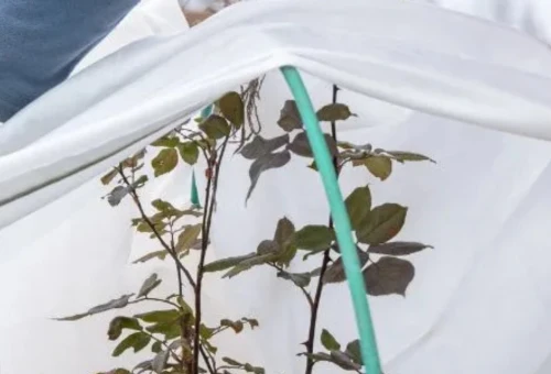 Bandeau Slider voile hivernage protection plantes