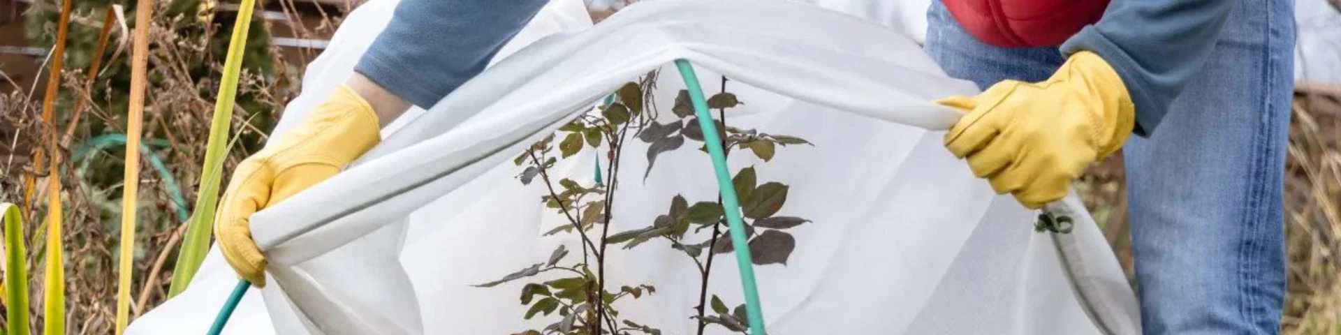 Bandeau Slider voile hivernage protection plantes