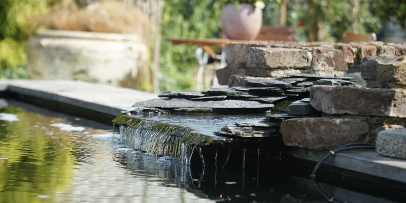 Comment créer un bassin dans votre jardin ?