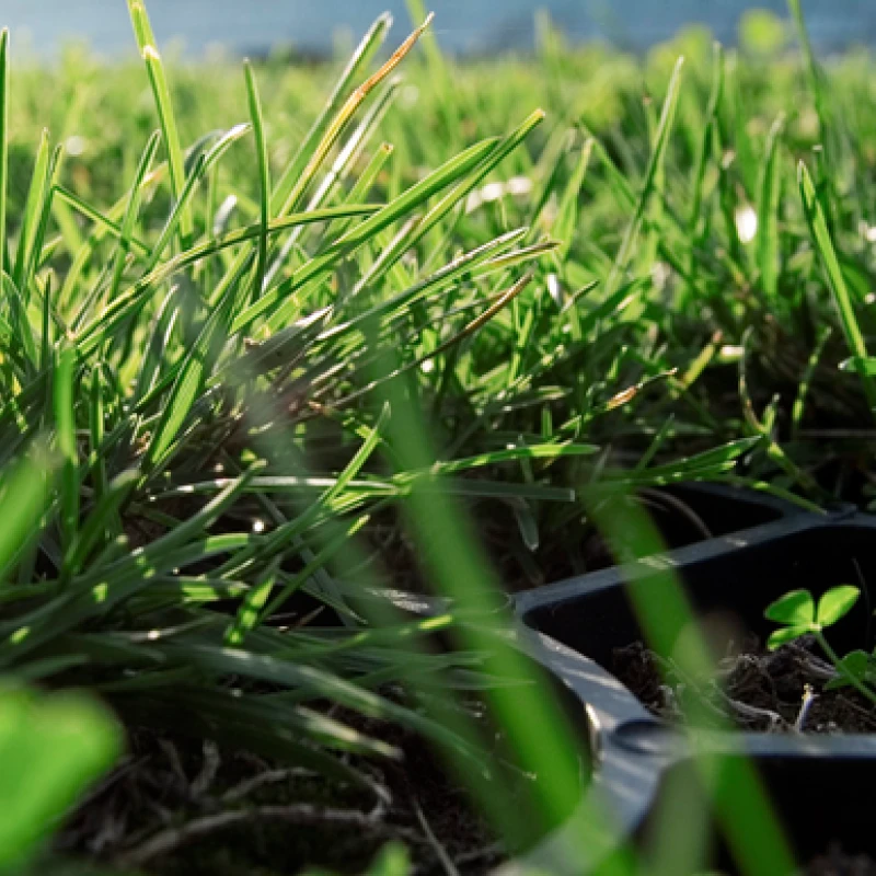 Dalle à engazonner Runfloor - Ep 30mm