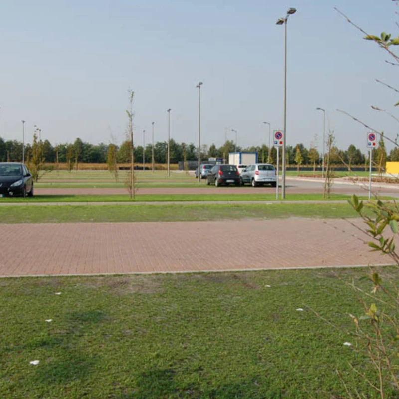 Dalle à engazonner Salvaverde B - Ep 40mm