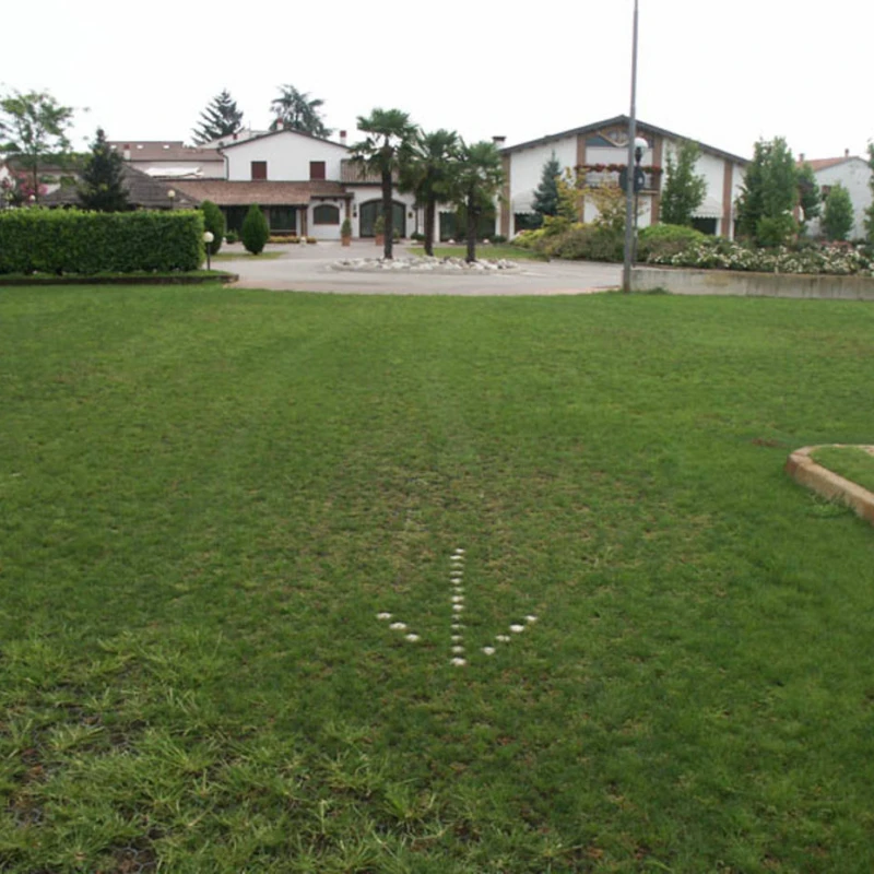 Dalle à engazonner Salvaverde B - Ep 40mm