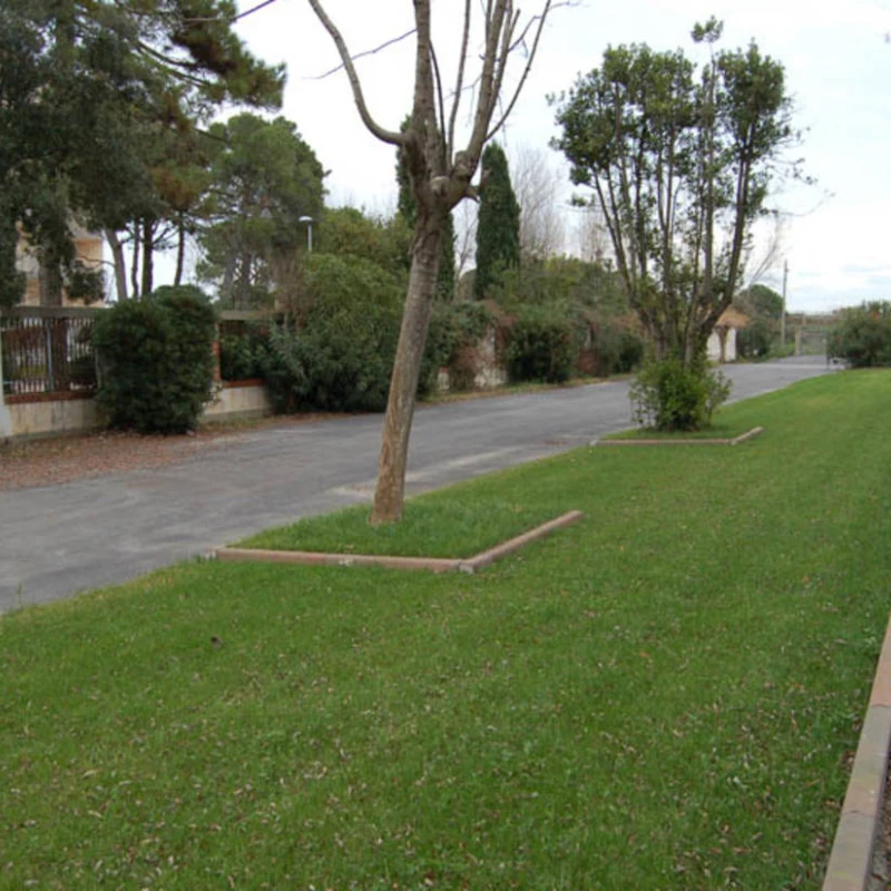 Dalle à engazonner Salvaverde B - Ep 40mm