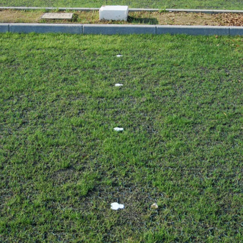 Dalle à engazonner Salvaverde B - Ep 40mm