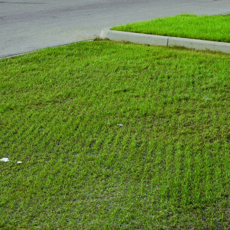 Dalle à engazonner Salvaverde B - Ep 40mm