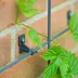 Treillis en acier pour plante grimpante H145cm