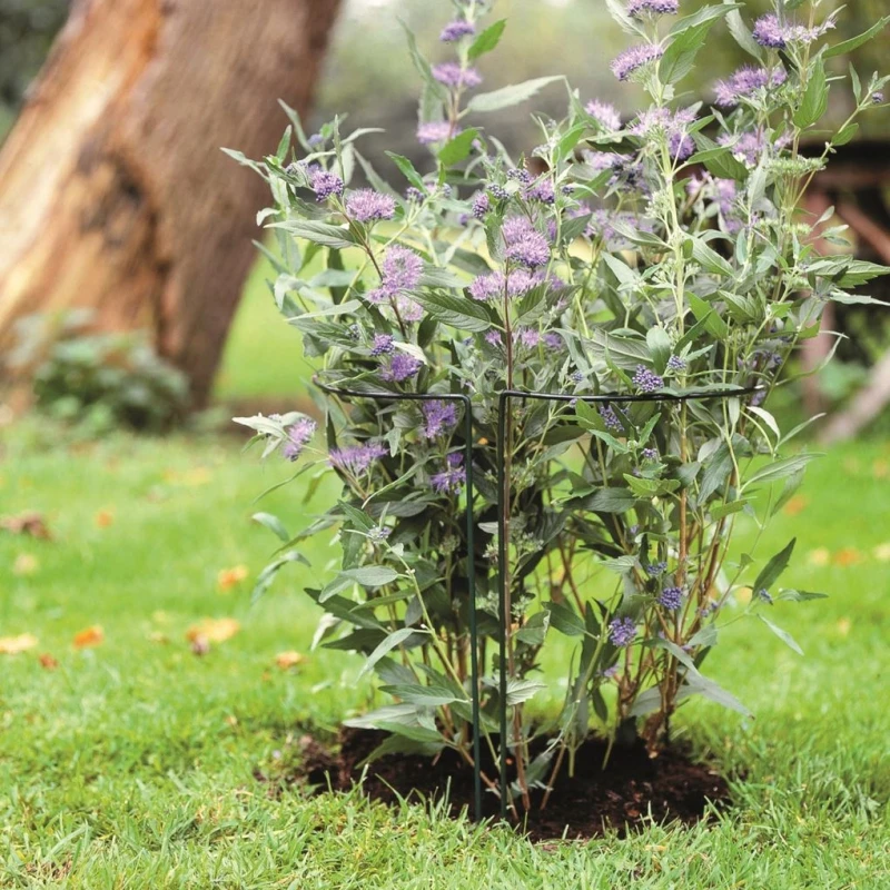 Support tuteur acier pour plante en demi-cercle - H60 à H100