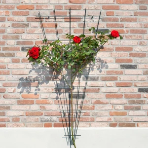 Treillis en acier pour plante grimpante en forme de V