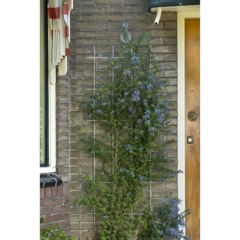 Treillis en acier pour plante grimpante H145cm