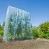 Film de croissance pour tunnel à tomates - 4m x 3,50m
