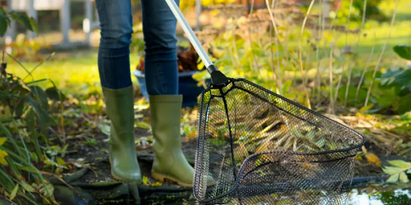 Les accessoires de bassin pour l’hiver
