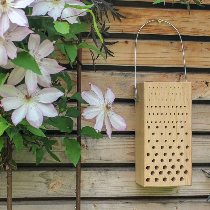 Ruche pour insectes en bois de hêtre - Schwegler