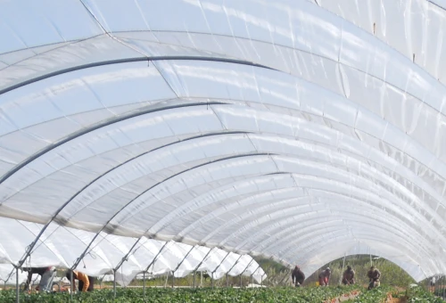 Bandeau Slider film serre tunnel