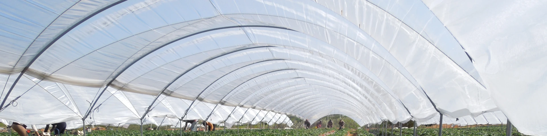 Bandeau Slider film serre tunnel