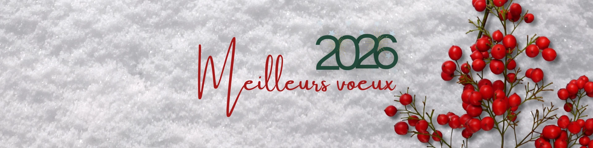 Bandeaux Slider Meilleurs voeux