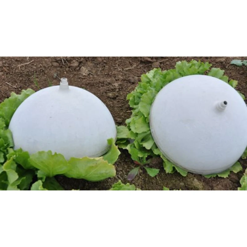 Cloche à blanchir pour salade