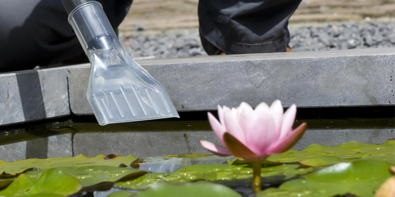 Protéger les plantes du bassin en hiver