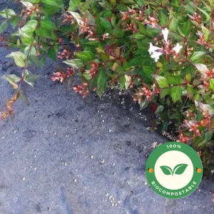 Feutre de paillage Agromat PLA 155gr/m² - 100m