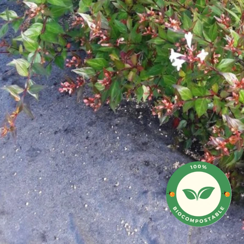 Feutre de paillage Agromat PLA 155gr/m² - 100m