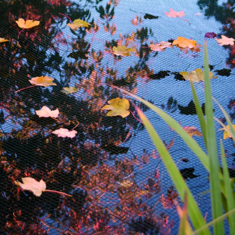 Filet anti-feuilles pour bassin et étang