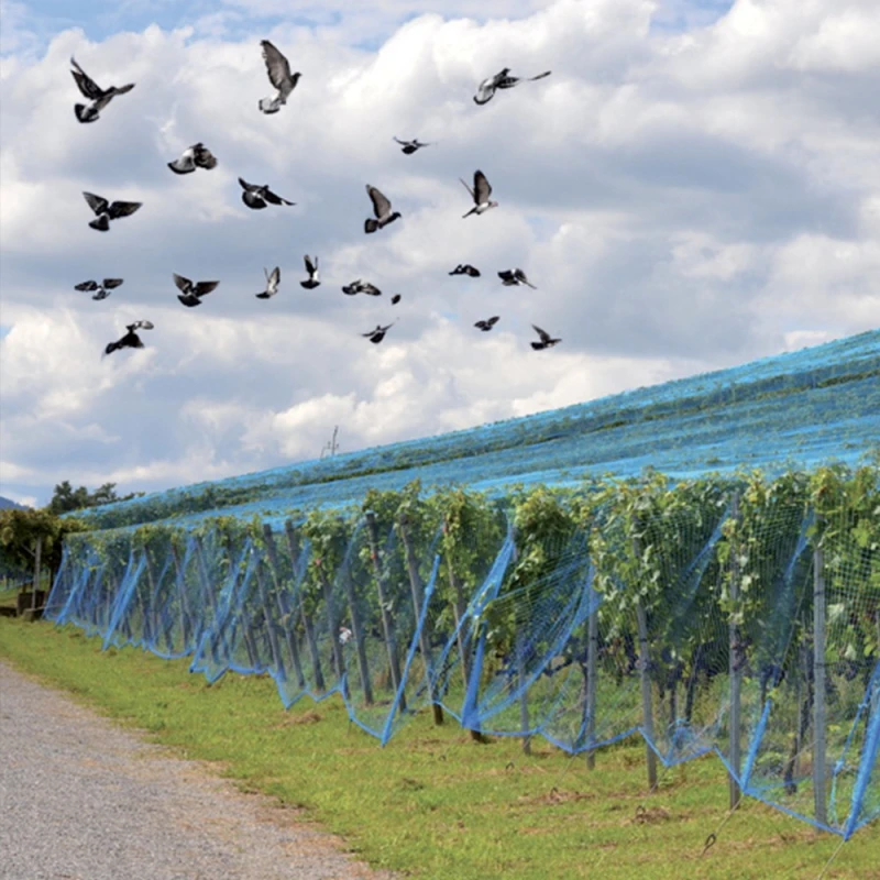 Filet de protection anti oiseaux vert - Maille 20x20mm