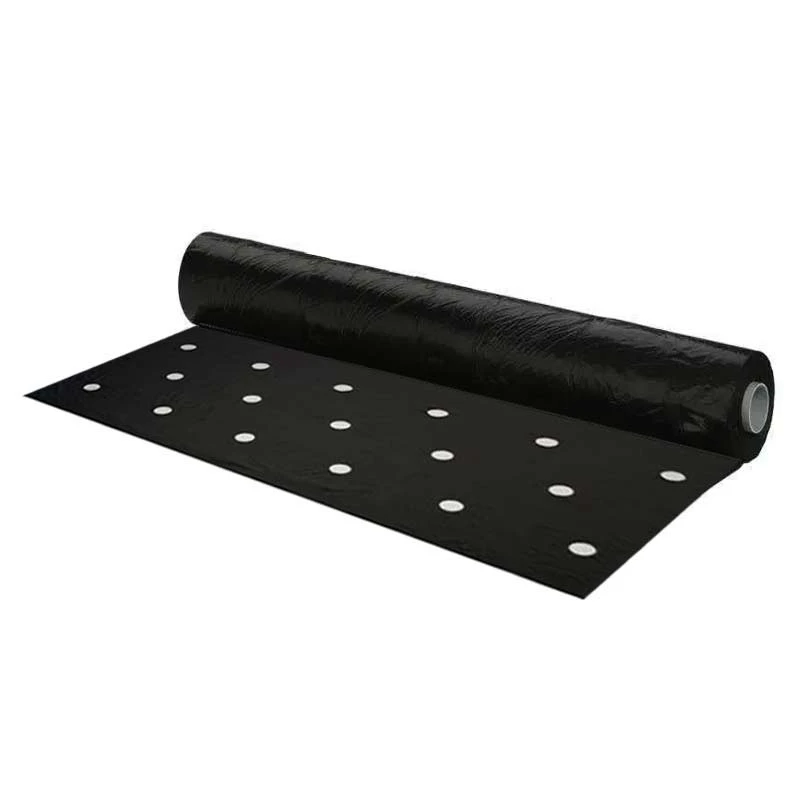 Film de paillage pour mâche 48 trous - Largeur  1,50m - à la coupe